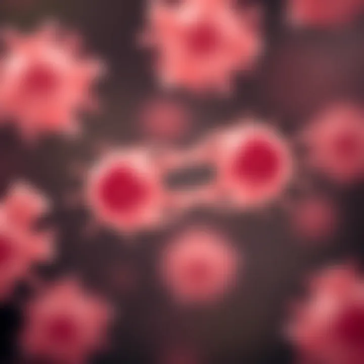 Microscopic view of bacteria undergoing division through binary fission