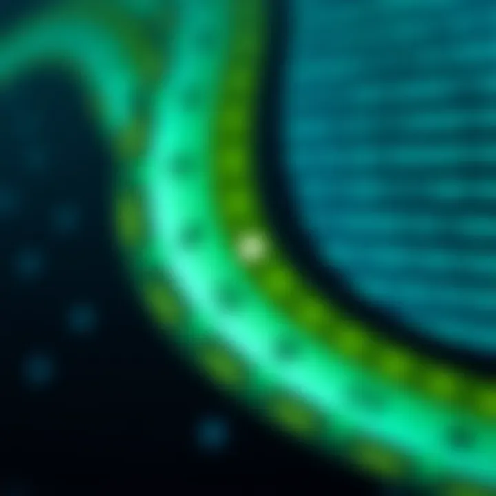 Binary Multiplication Using Basic Arithmetic Rules Diagram illustrating the multiplication of two binary numbers using basic binary arithmetic rules